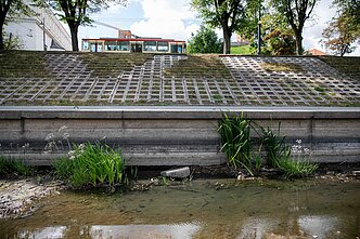 Neris river in Vilnius has bit severely hit by the nationwide drought 