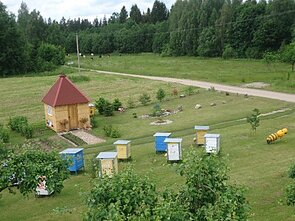 Bee therapy center ran by Židrūnas Japertas Bee therapy center ran by Židrūnas Japertas