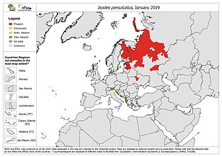 Taiginės erkės paplitimas Europoje Taiginės erkės paplitimas Europoje