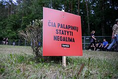 Festivalio „Devilstone“ šeštadienio akimirka 