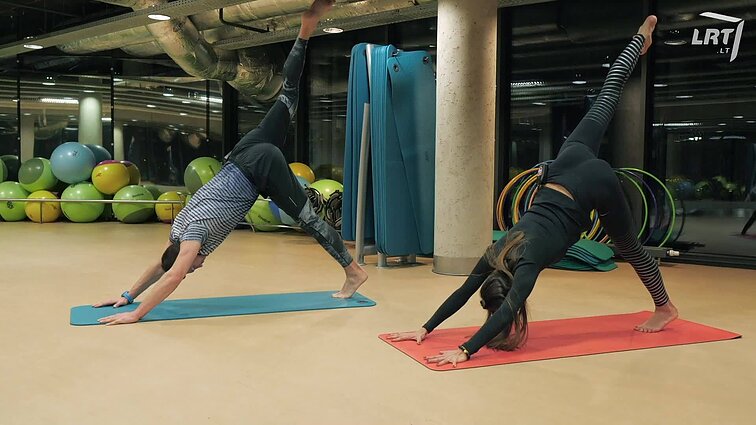 Į sveikatą! Joga – jėga, lankstumas, geresnė gyvenimo kokybė, atsparumas stresui bei geri pagrindai sąmoningesniam gyvenimui