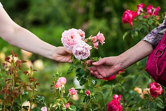 „Kvapų nakties“ akimirka