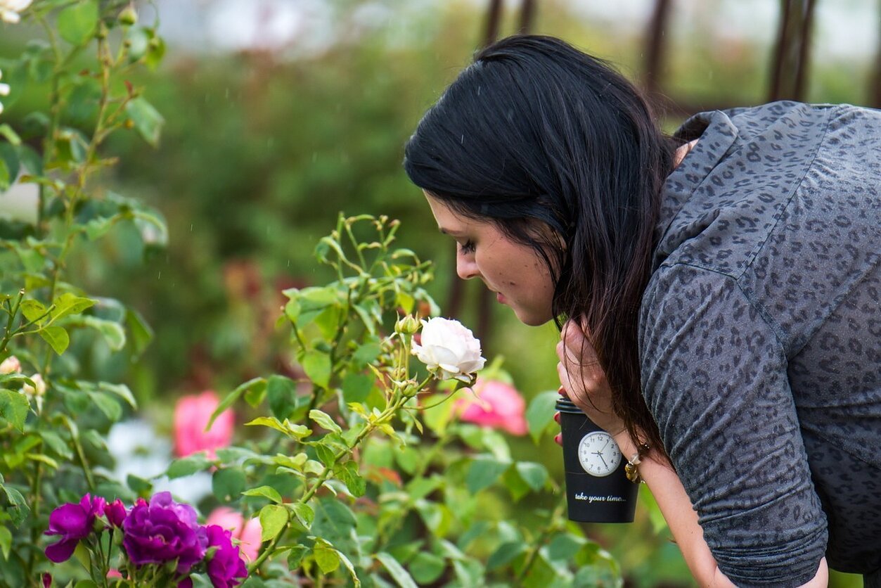 „Kvapų nakties“ akimirka
