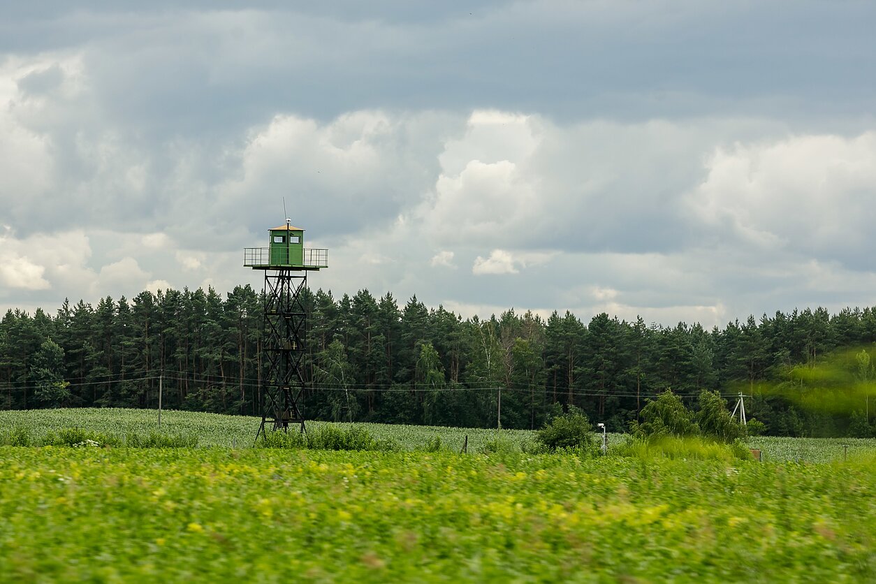Lietuvos ir Baltarusijos pasienis šalia Tribonių