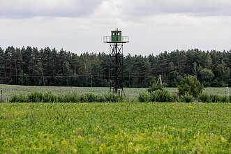 Lietuvos ir Baltarusijos pasienis šalia Tribonių