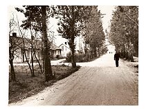 Centrinė Pelėdnagių gatvė. 1975 metai Centrinė Pelėdnagių gatvė. 1975 metai