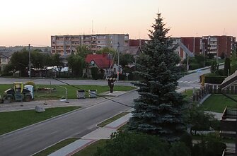 Pelėdnagiai šiandien Pelėdnagiai šiandien