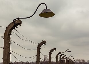 Koncentracijos stovykla Koncentracijos stovykla