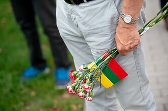 Lithuanian flag (associative image)