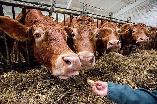 Žinios. Trūksta žemės ūkio specialistų: norėdami prisivilioti darbuotojus siūlo ir gyvenamąją vietą