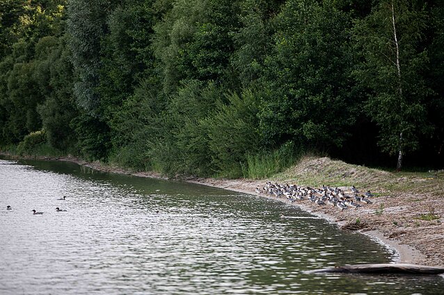Metelių regioninis parkas