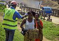 Kova su Ebola. Asociatyvi