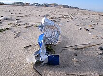 Plastikas vandenyne
