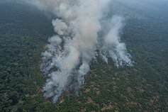 Gaisras Amazonės miškuose