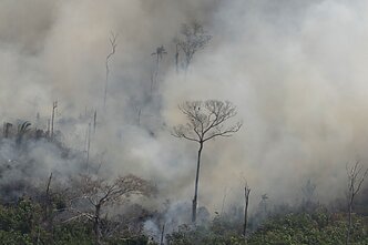 Gaisras Amazonės miškuose