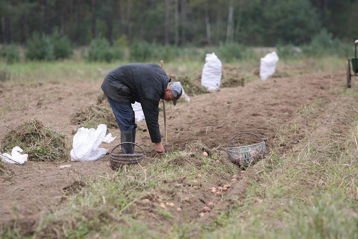 Farming (illustrative)