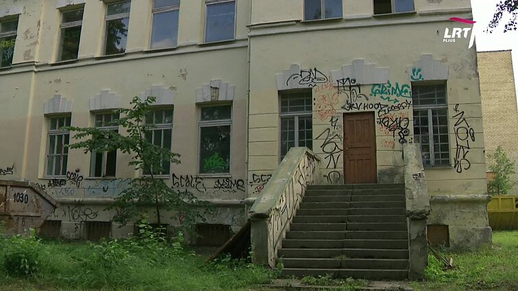 Kultūros diena. Režisierius Tomas Vengris apie juostą „Gimtinė“: tai mano, amerikiečio berniuko, perspektyva į Lietuvą