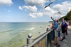 Svetlogorskas, Kaliningradas