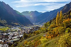 Andora Andora