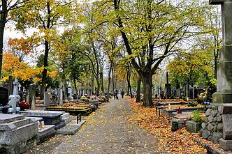 Kapinės Kapinės