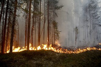 Klimato atšilimas