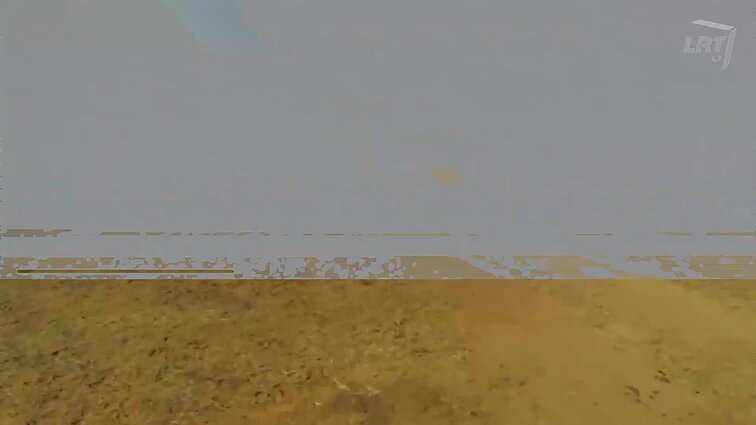 Ką žinote apie Afriką?