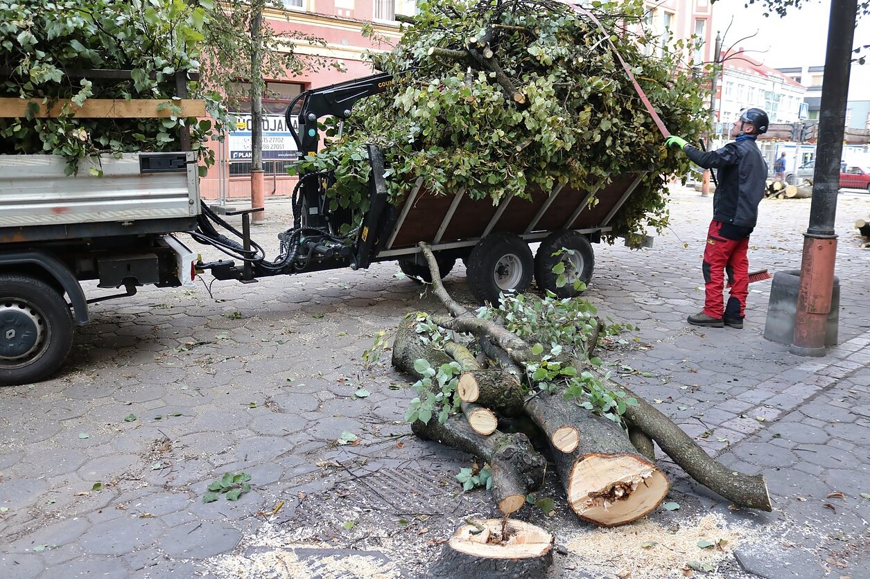 A. Rutkausko nuotr., Šiaulių pėsčiųjų bulvare kertami medžiai
