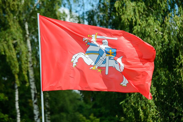 Vienas seniausių heraldinių simbolių Europoje – Vytis: kūrėjai visuomenei turėjo atsakyti į ne vieną klausimą