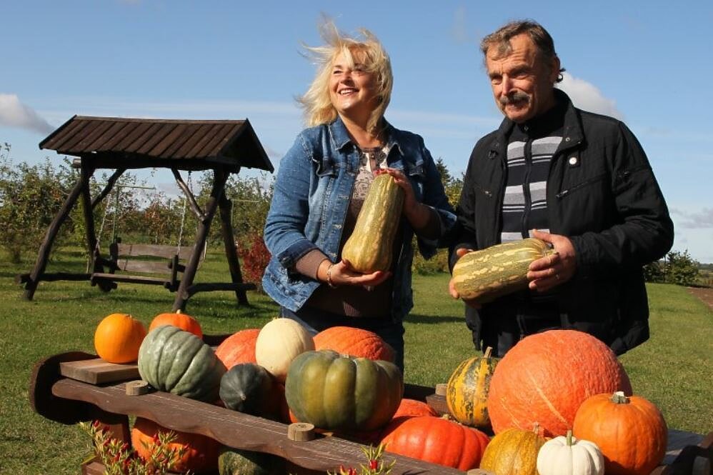 Salvinos ir Alvydos Kievinų moliūgai