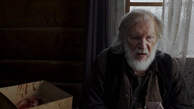 Algimanto Puipos filmas „Kita tylos pusė“