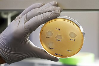 Laboratorijoje