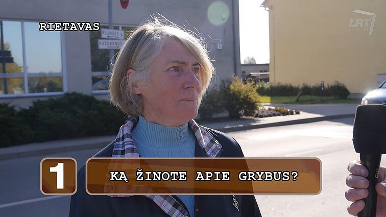 „Klausimėlis“. Ką žinote apie grybus?