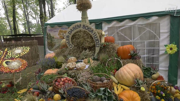 Kultūrų kryžkelė. Vilniaus albumas