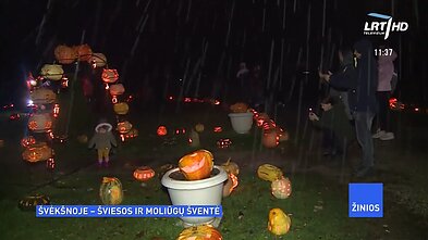 Žinios. Švėkšnoje – įspūdingas reginys: sutemus dvaro parke suspindo tūkstančiai moliūgų žibintų