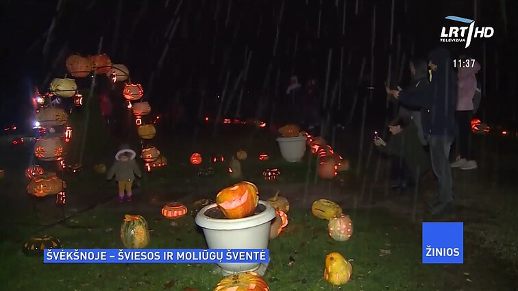 Žinios. Švėkšnoje – įspūdingas reginys: sutemus dvaro parke suspindo tūkstančiai moliūgų žibintų