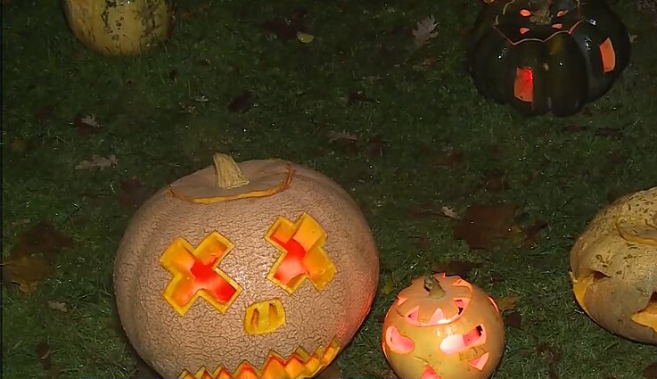 Moliūgų žibintų šventė Švėkšnoje