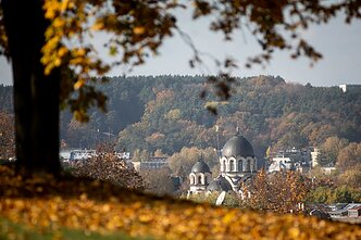 Autumn
