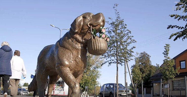 Mūsų gyvūnai. Šunų lenktynės „Vaiguvos ruduo“, išnykę elniaragiai ir paminklas senbernarei Bitei
