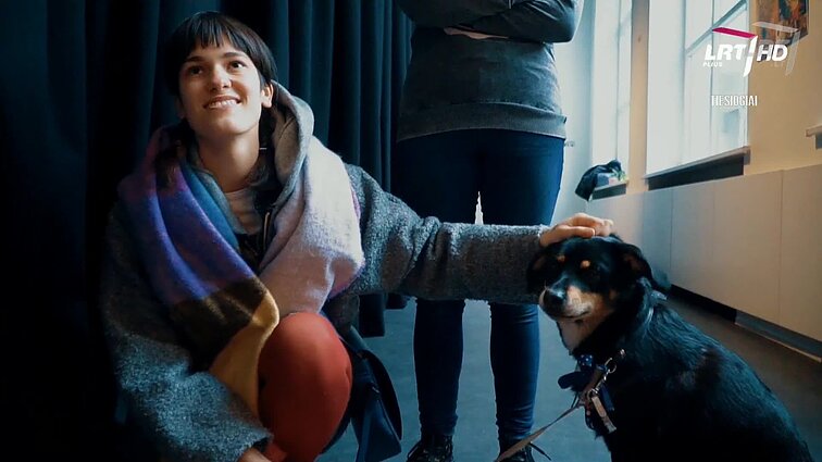 Kultūros diena. Menininkas Martynas Pavilonis įvertintas Jungtinės Karalystės knygų iliustruotojų apdovanojimuose