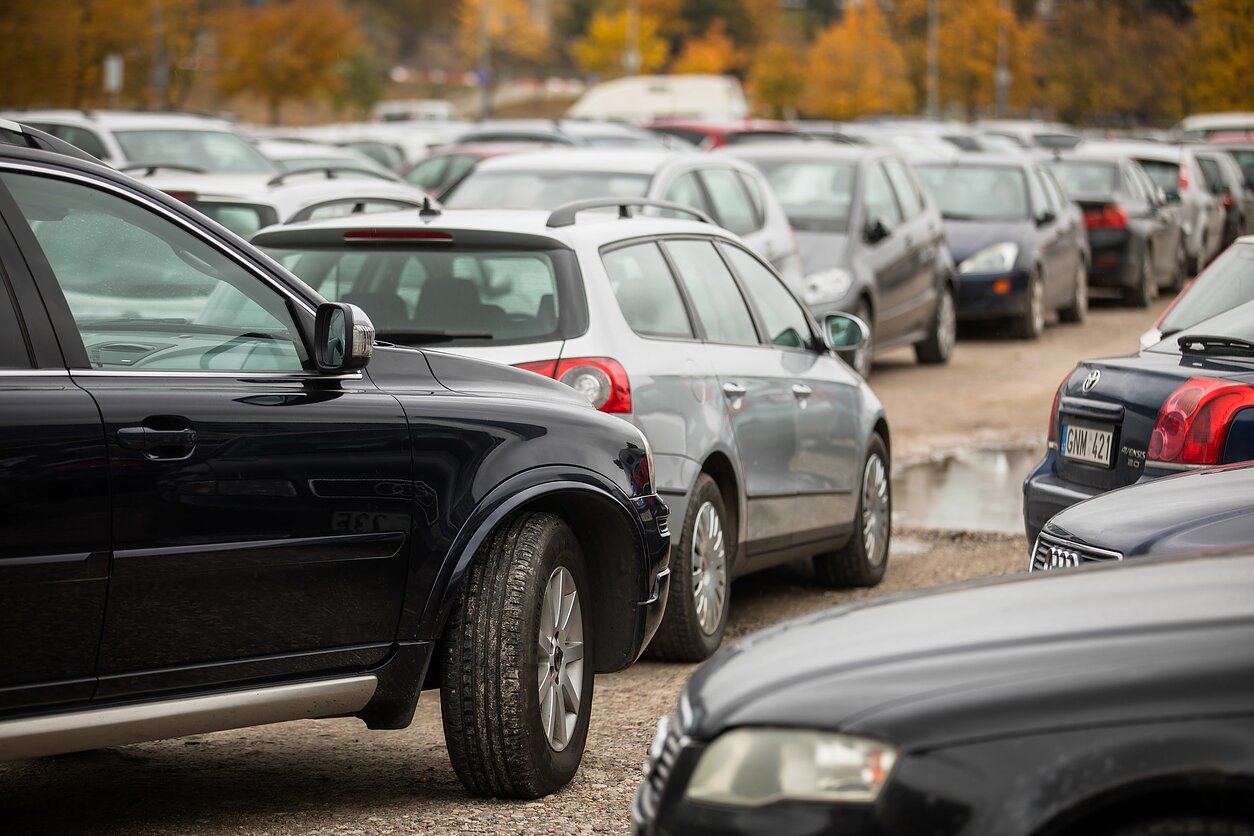 E. Blažio / LRT nuotr., Automobiliai