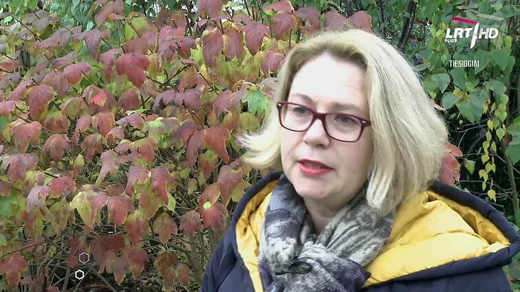 Kultūros diena. Pradeda byrėti „Vilniaus lapai“: literatūros festivalis intriguos ne tik ištikimiausius, bet ir pačius jauniausius skaitytojus