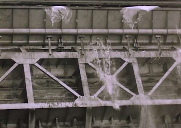 Kauno marių dugniečiai.