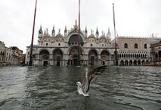 Veneciją užliejo aukščiausias per daugiau kaip 50 metų potvynis