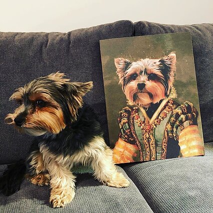 Augintinių portretai