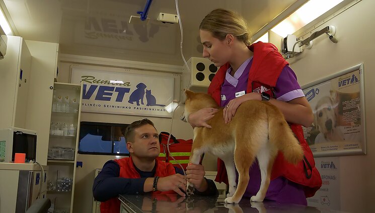 Greitoji pagalba gyvūnams