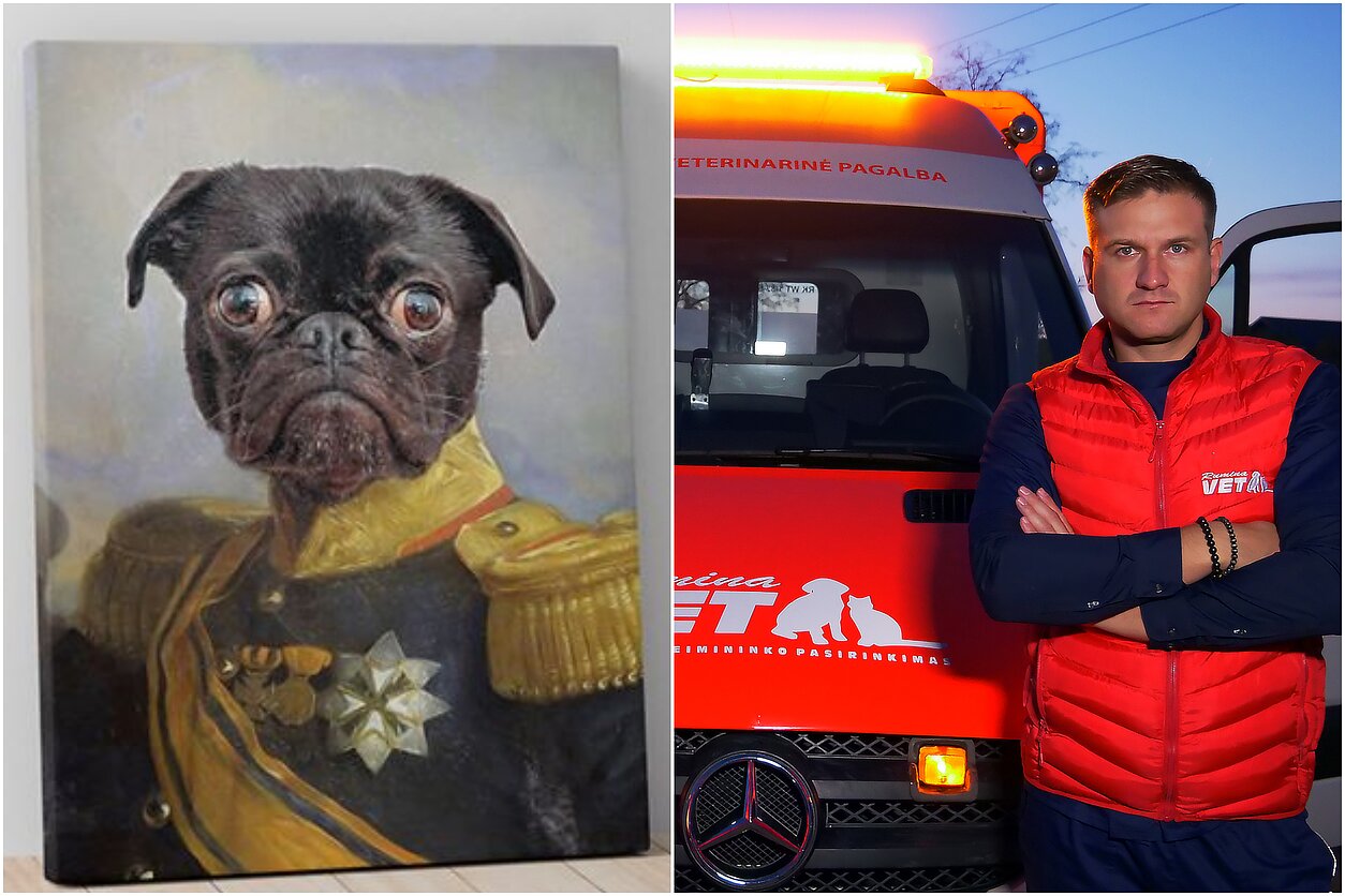 Augintinio portretas, greitoji pagalba gyvūnams