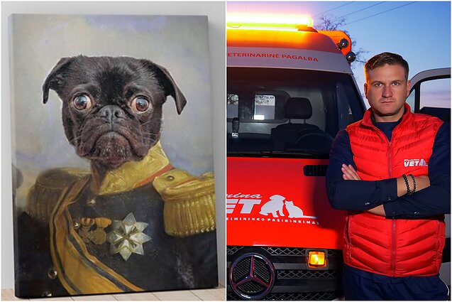 Augintinio portretas, greitoji pagalba gyvūnams