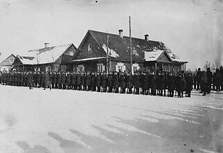 Lithuanian military during the Wars of Independence 