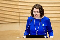 Seime vyksta pirmasis biudžeto svarstymas. Dovilė Šakalienė