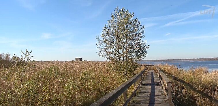 Pradėk nuo savęs. Pokalbis su Žuvinto rezervato darbuotoju Regimantu